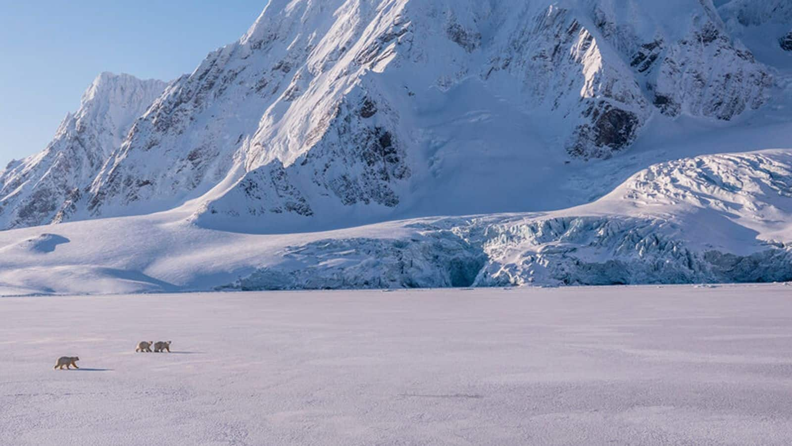 Jelajahi keindahan Kepulauan Svalbard, Norwegia