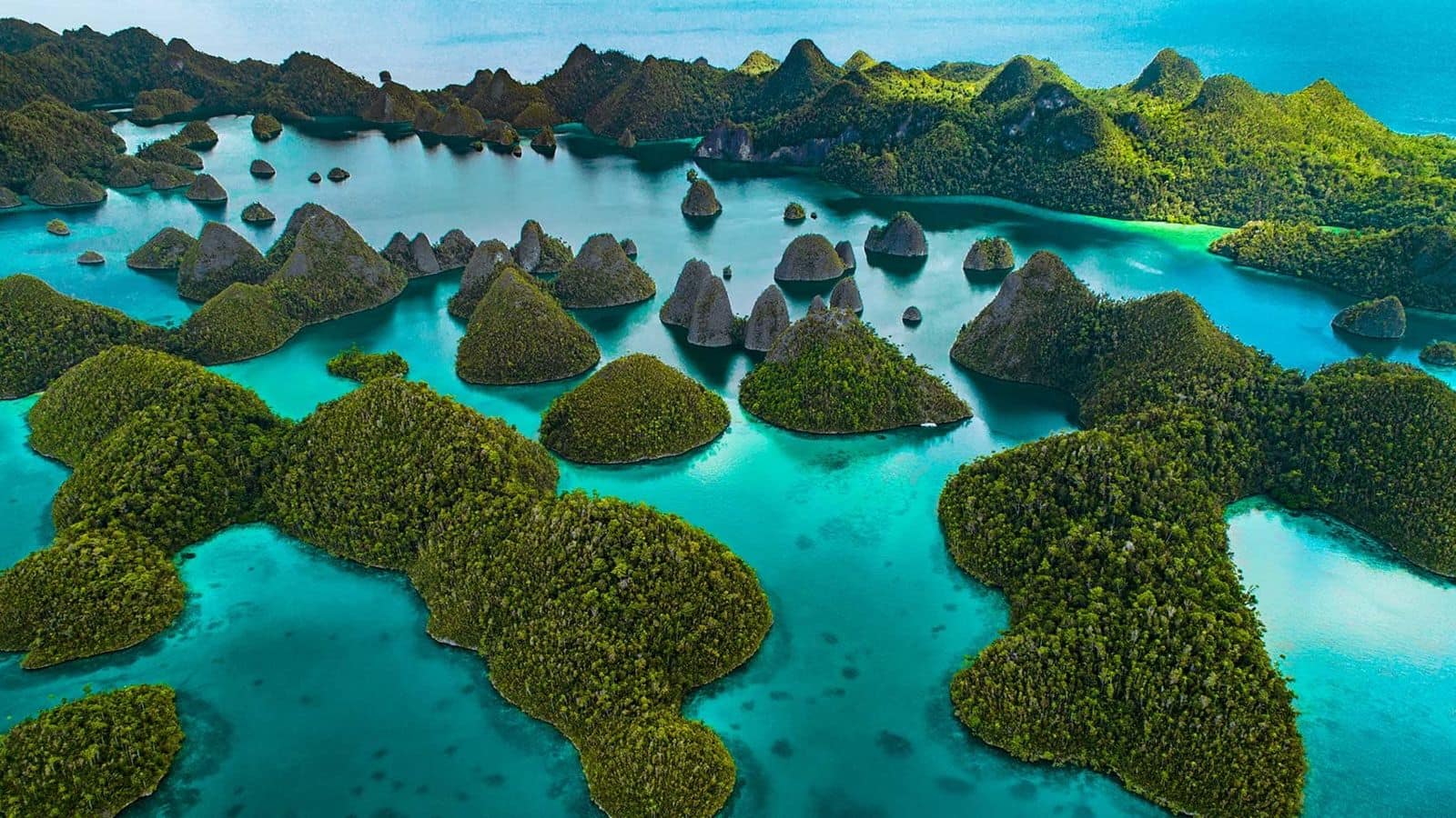 Menjelajahi Keindahan Kepulauan Raja Ampat, Indonesia