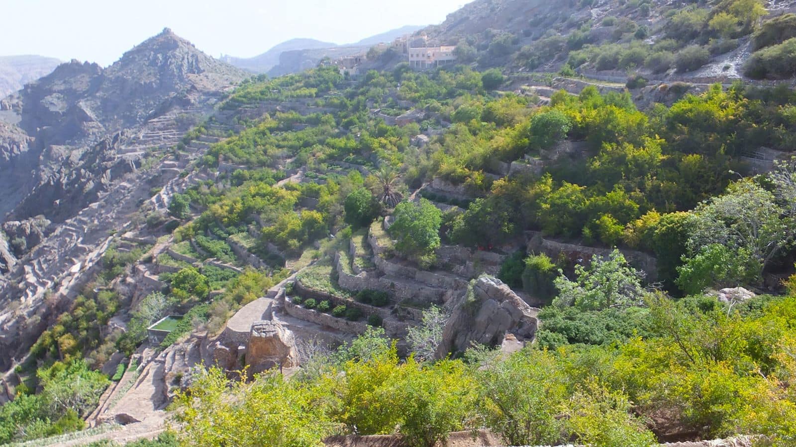 Menjelajahi Keindahan Jebel Akhdar, Oman