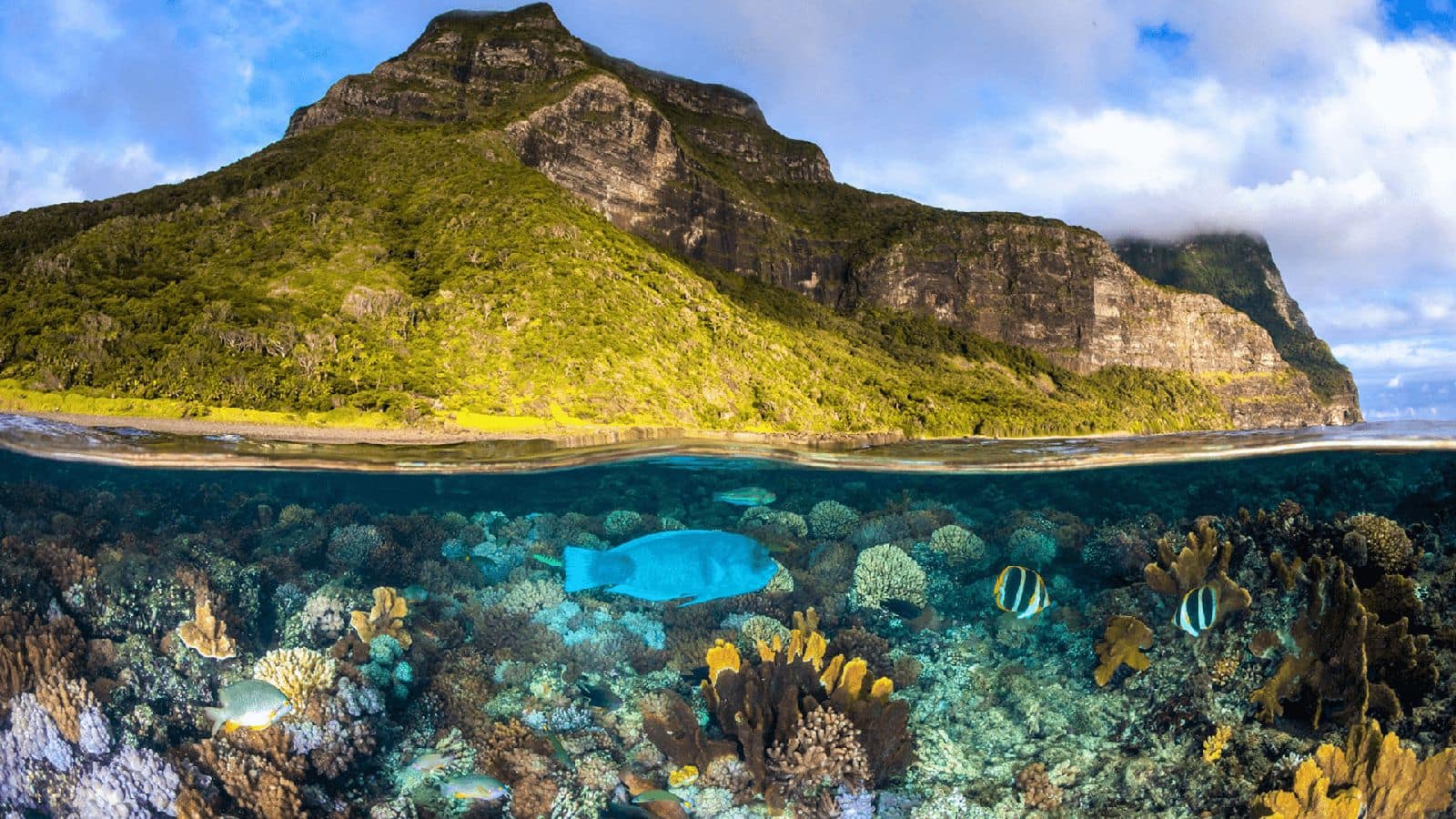 Menjelajahi keindahan Pulau Lord Howe, Australia