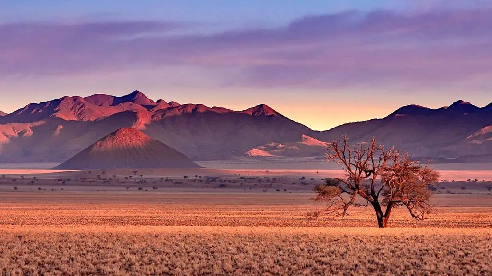 Menjelajahi Keindahan Gurun Namib, Namibia