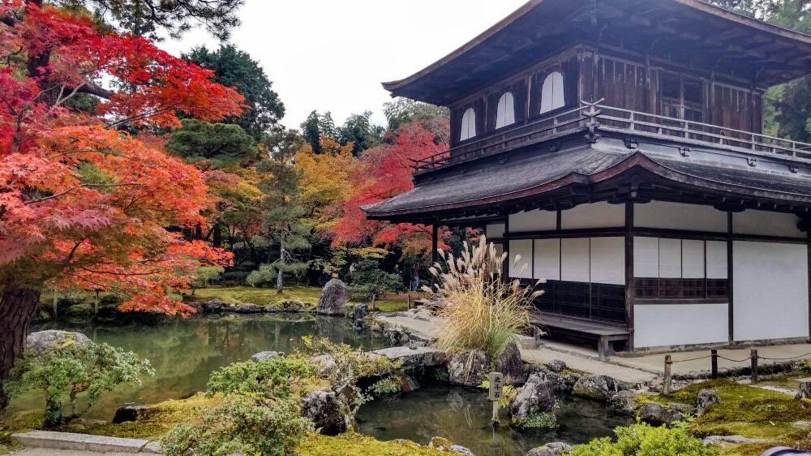 Pesona Musim Gugur di Taman Zen Kyoto