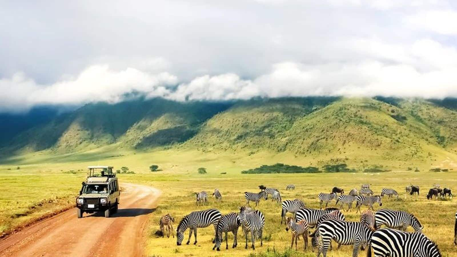 Menjelajahi keajaiban Taman Nasional Serengeti, Tanzania