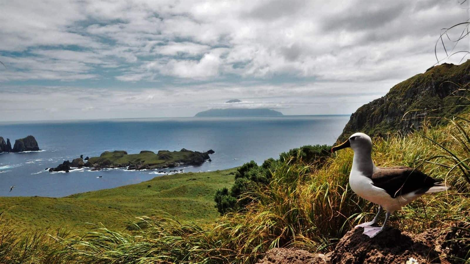 Jelajahi keindahan Tristan da Cunha, Samudra Atlantik Selatan