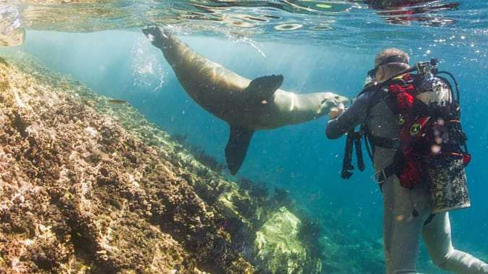 Kekayaan alam kepulauan Galapagos, Ekuador