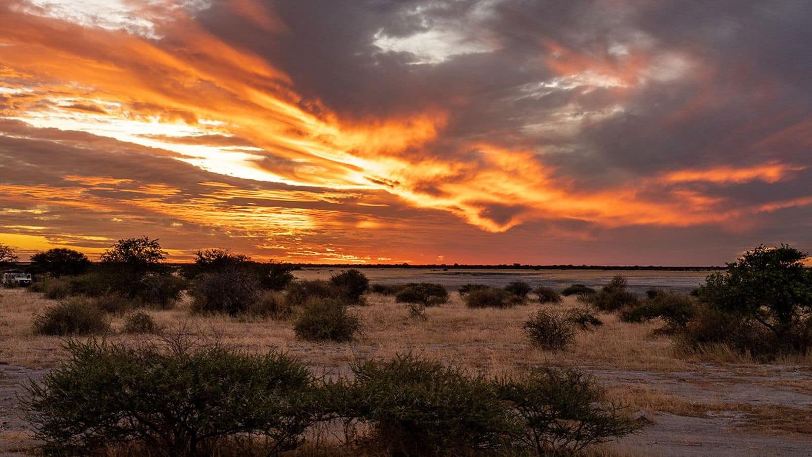 Menjelajahi Keajaiban Di Gurun Kalahari, Botswana