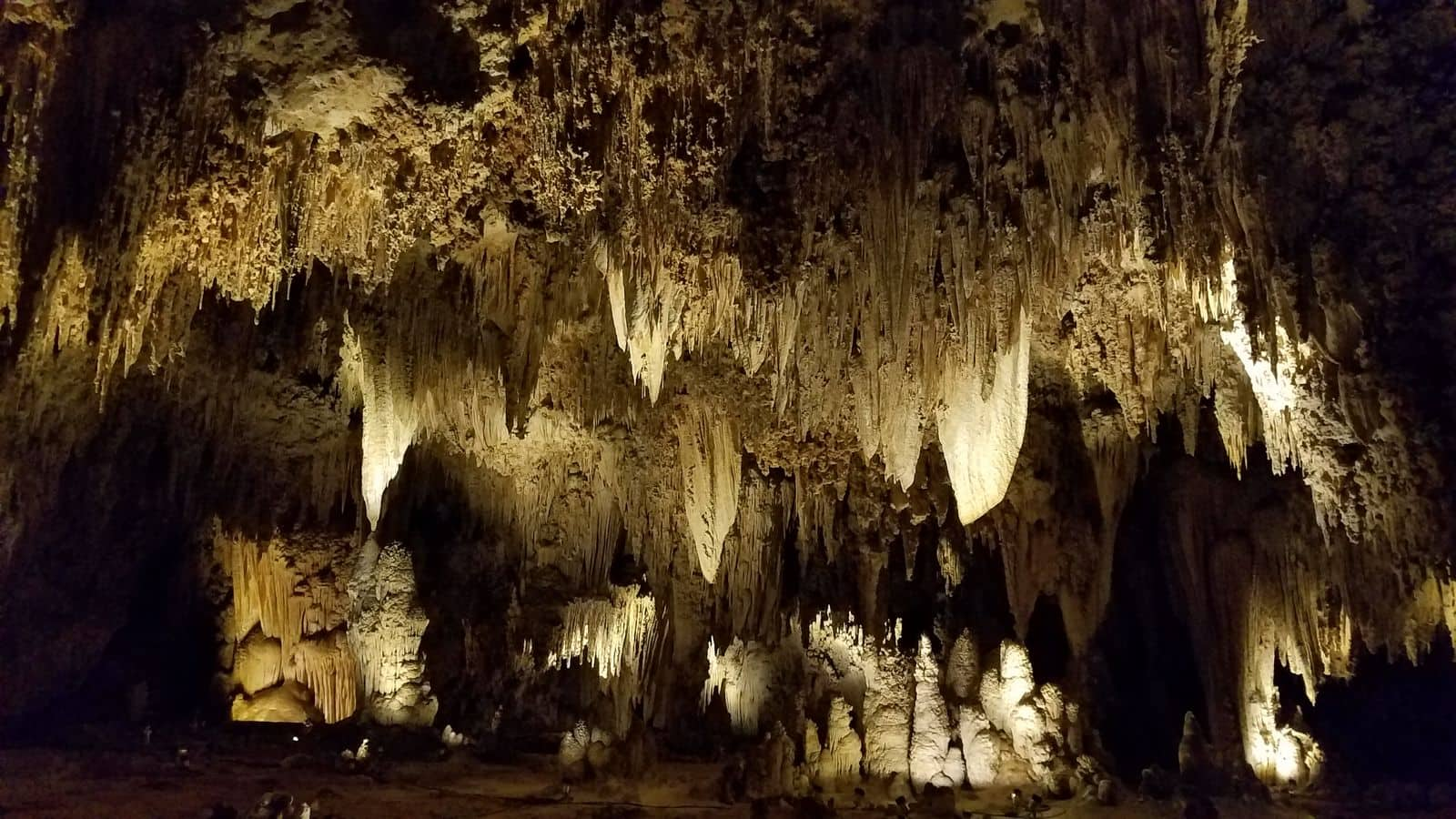 Jelajahi keajaiban Carlsbad Caverns National Park, Amerika Serikat