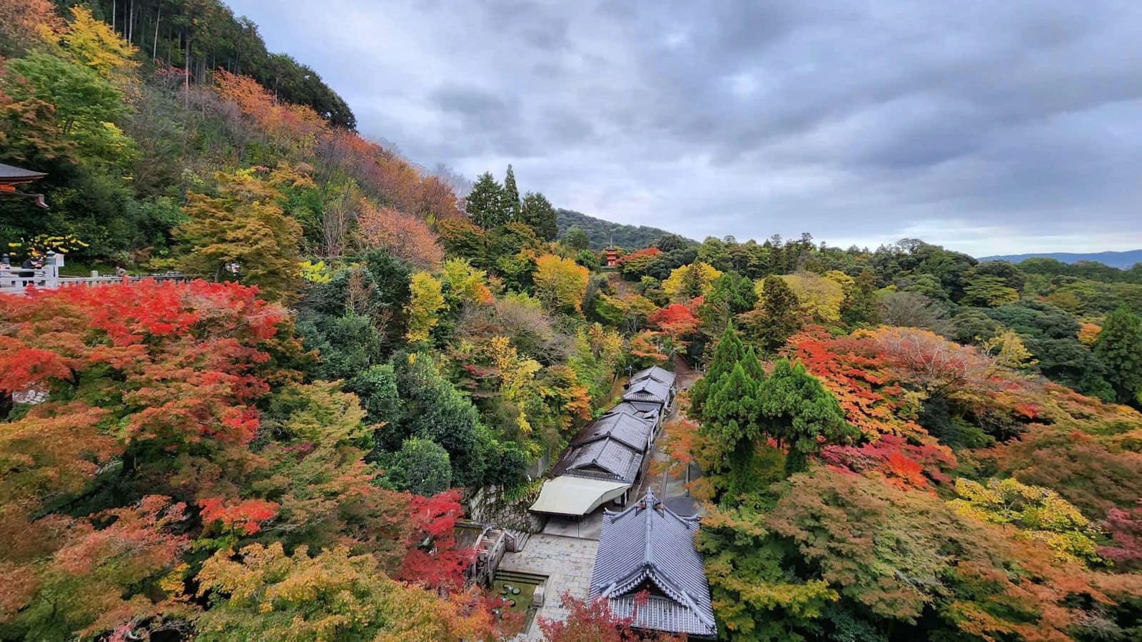 Permata Tersembunyi Musim Gugur di Kyoto