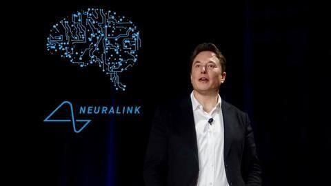 Musk sambungkan kabel ke otak kera hingga bermain gim video Musk sambungkan kabel ke otak kera hingga bermain gim video