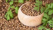 Rempah Esensial dalam Hidangan Vegetarian Indonesia