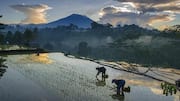 Tips untuk Menangkap Lanskap Pedesaan Indonesia dengan Lensa Kamera