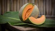 Manfaat Melon dalam Hidangan Sehari-hari