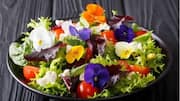 Cara Kreatif Menggunakan Bunga Edible dalam Beragam Resep