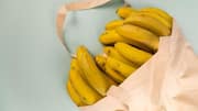 Potensi Energi Terbarukan dari Limbah Pisang