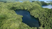 Harta Karun Tersembunyi di Palau: 5 Tempat Wajib Kunjungi