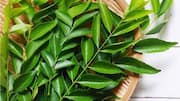 Cara Unik Menggunakan Daun Kari dalam Beragam Resep Vegetarian