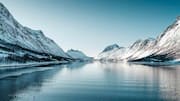 Menjelajahi Fjord yang belum Terjamah di Norwegia Utara