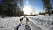 Menjelajahi Lanskap Salju Lapland Finlandia dan Safari Husky