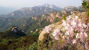 Taman-Taman yang Patut Dikunjungi di Seoul, Korea Selatan