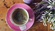 Teh Lavender: Meningkatkan Penyerapan Nutrisi Tanaman secara Alami