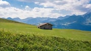 Menjelajahi Padang Rumput Alpin Swiss yang Tak Tersentuh