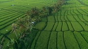Terobosan Teknologi Iklim dari Indonesia