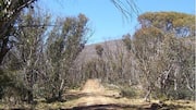 Menjajal Rute-Rute Tersembunyi di Pedalaman Australia