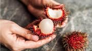 Menjelajahi Buah Eksotis dari Nusantara