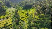 Penemuan Lingkungan dari Budaya Tradisional Dunia