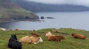 Dataran Tinggi Skotlandia: Rekomendasi Selain Loch Ness
