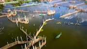 Meningkatkan Akuakultur Global dengan Pakan Ikan Biodegradable