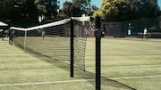 Mengapa rumput lapangan tenis dipangkas secara teratur?