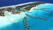 Keajaiban Bora Bora: Menjelajahi Kehidupan Laut yang Masih Murni