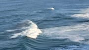Turbin Bawah Laut: Masa Depan Energi Laut Terbarukan?