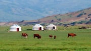 Menemukan Kedamaian di Pedesaan Mongolia