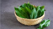 5 Herbal Indonesia yang Memperkaya Cita Rasa Hidangan Anda