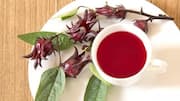 Menjelajahi Minuman Herbal Tradisional dari Indonesia