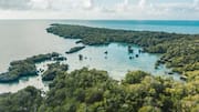Menemukan Kebun Rempah Tersembunyi di Zanzibar