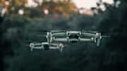 Lima Cara Menarik Drone Membantu Konservasi Satwa Liar