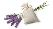 Membuat sachet herbal: Segarkan ruangan dengan botani aromatik
