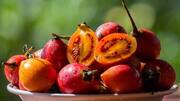 Menjelajahi Beragam Resep Tamarillo yang Menggugah Selera