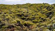 Menjelajahi Keindahan Lava dan Geyser Islandia
