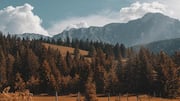 Keindahan Pegunungan Karpatia di Transylvania