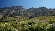Gunung Table di Cape Town: Jalur Pendakian Indah untuk Dijelajahi