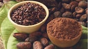 Cacao Nibs: Sentuhan Lezat dalam Kuliner