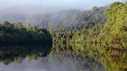 Jelajahi Hutan Hujan Tasmania yang Tak Tersentuh