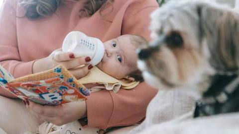 Botol kaca vs. plastik: Mana yang lebih baik untuk anak? Botol kaca vs. plastik: Mana yang lebih baik untuk anak?