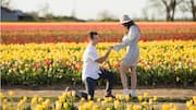 Mengabadikan Pemandangan Taman dengan Lima Teknik Komposisi Fotografi