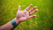 Pentingnya lempar koin dalam pertandingan kriket