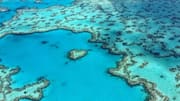 Menemukan Ekosistem Great Barrier Reef Australia